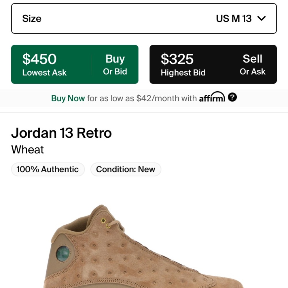 Jordan 13